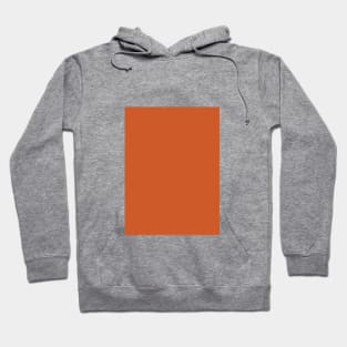 Rust 2021 color Hoodie